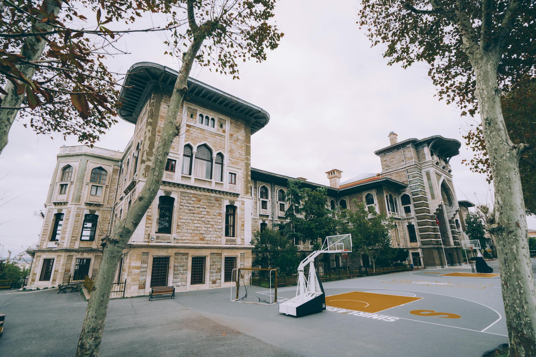 Erektil Fonksiyon