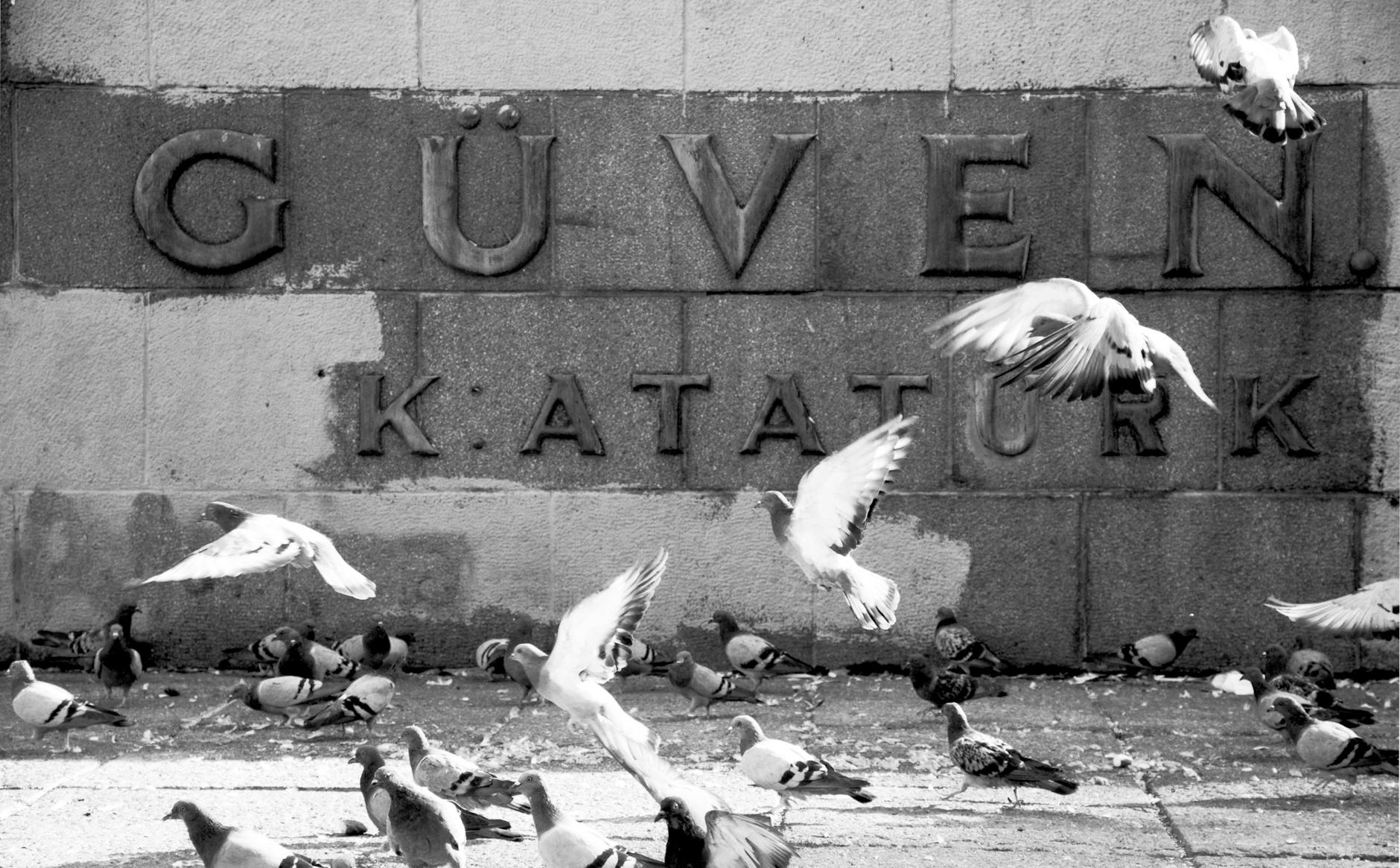 Güven