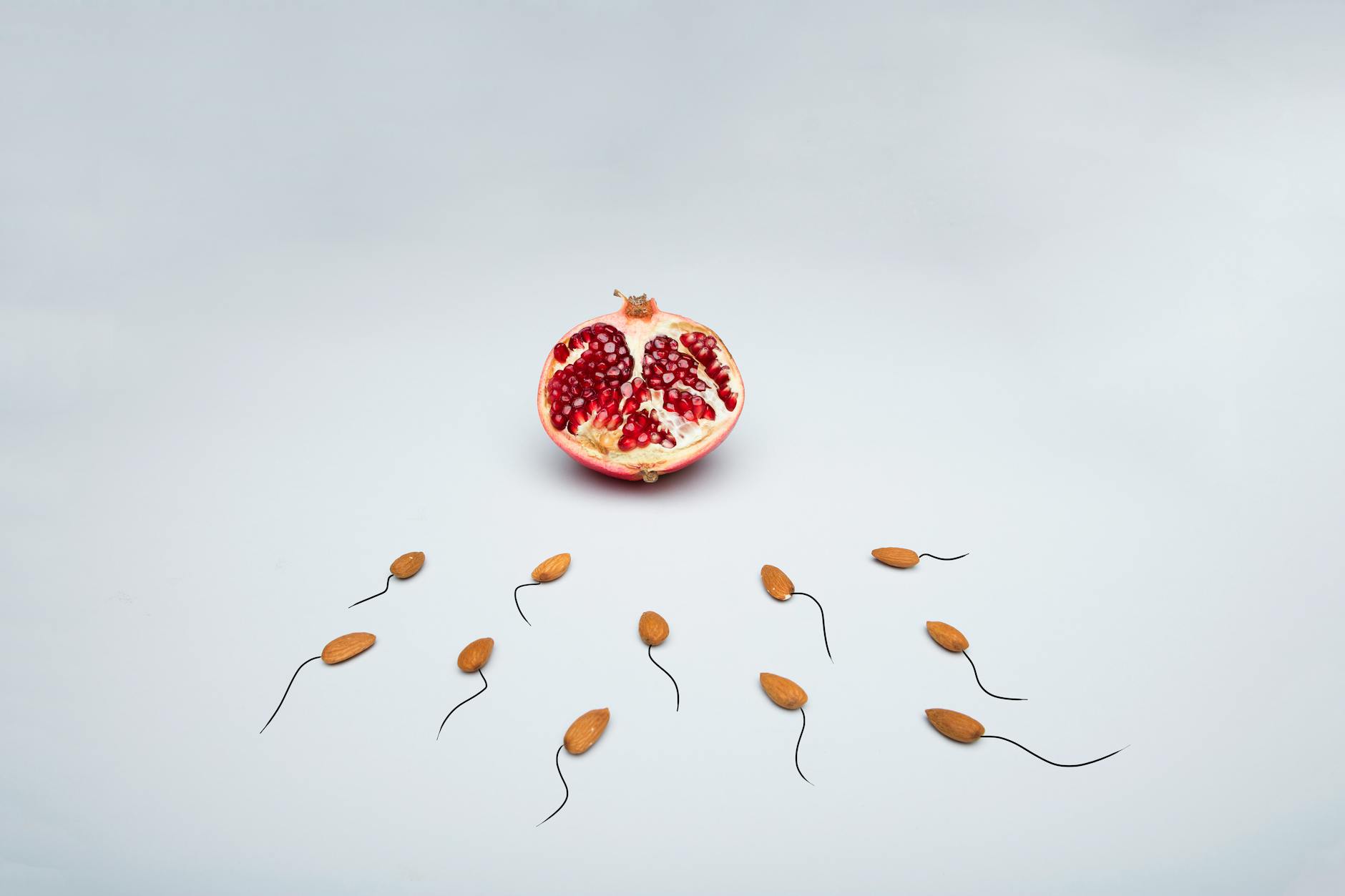 Sperma